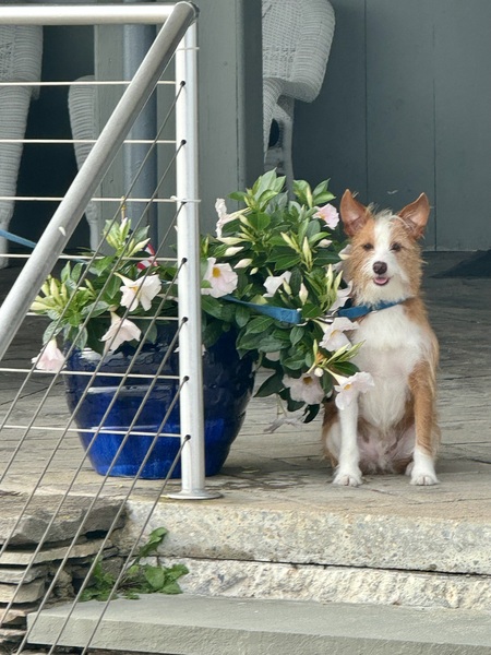 Jackson aka "Jax"