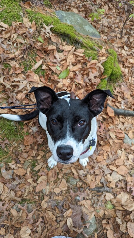 Nellie