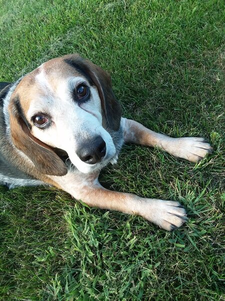 Mugsy