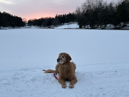 Sampson 