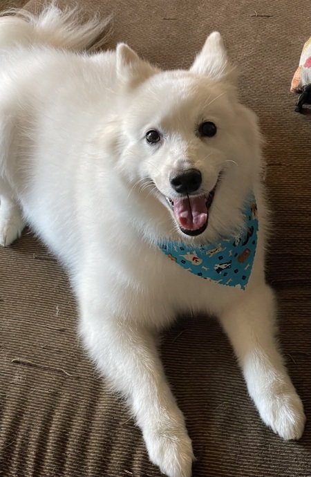 Bailey