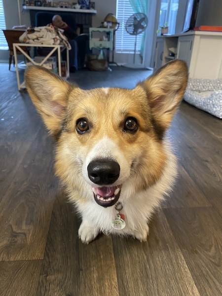 Winnie