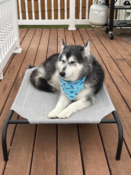 Handsome Hero