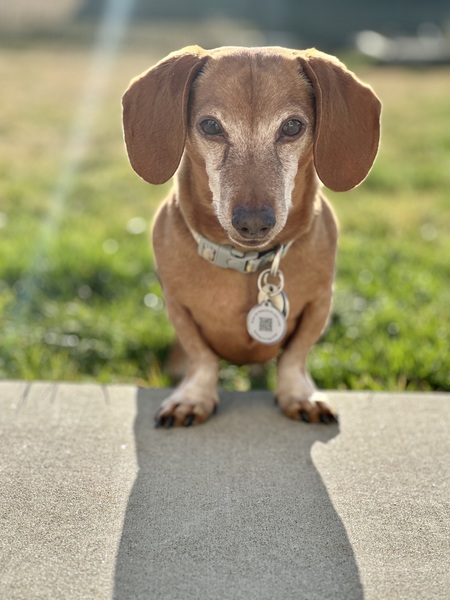 Frank