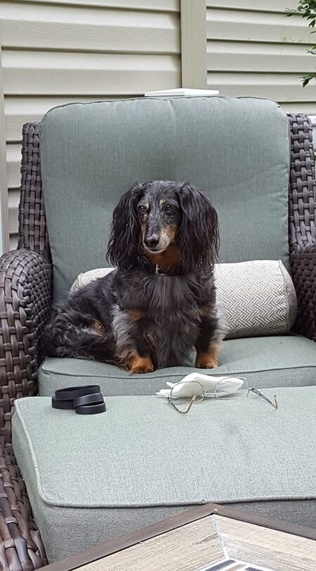 Monty