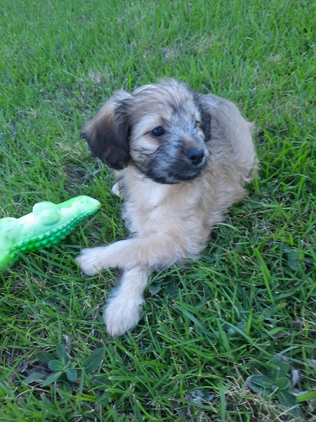 Molly