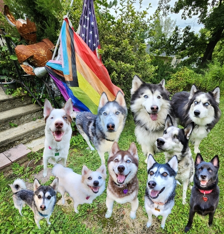 Nuka, Aleu, Tucker, Komi, Kiro, Opal, Ranga, Kiki (foster), Oliver (foster), Gambit (foster)