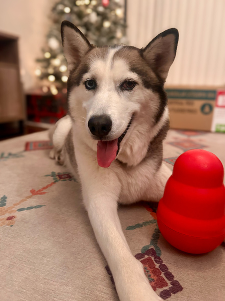 Finn