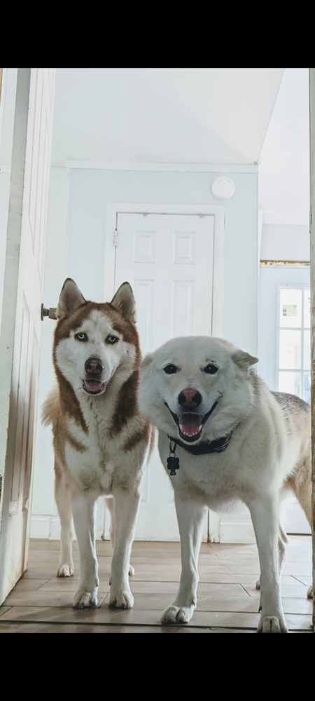 Cooper and Summer