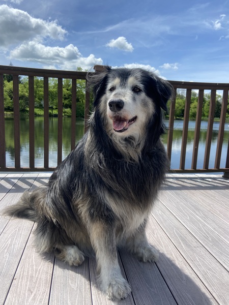 Phoebe