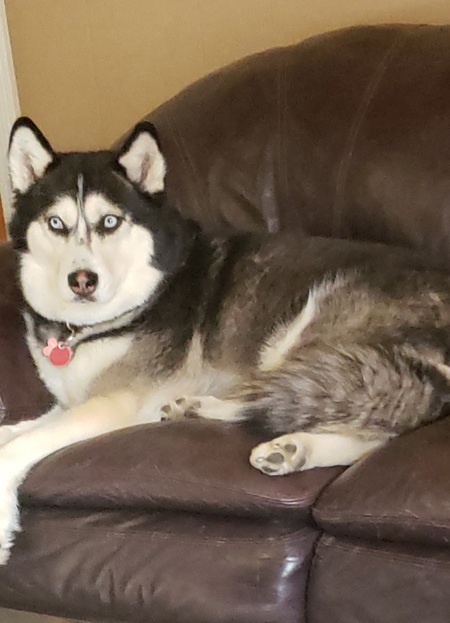 Bella 