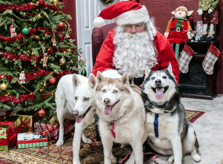 Maya, Tasha, Shiloh