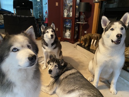 Axel, Alera, Max & Tennyson