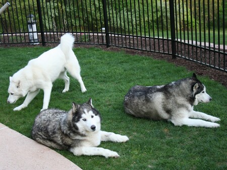 Blue, Poseidon & Demon