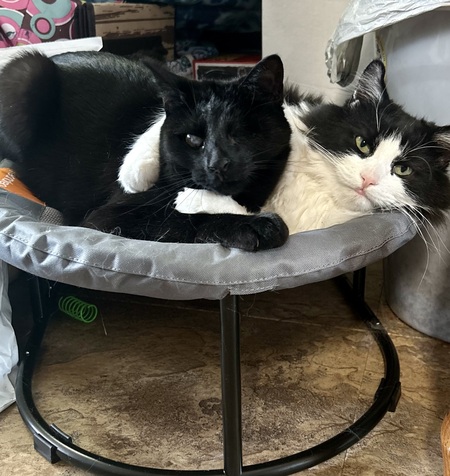 Popeye & George