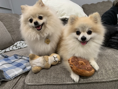 Milú & Luxe