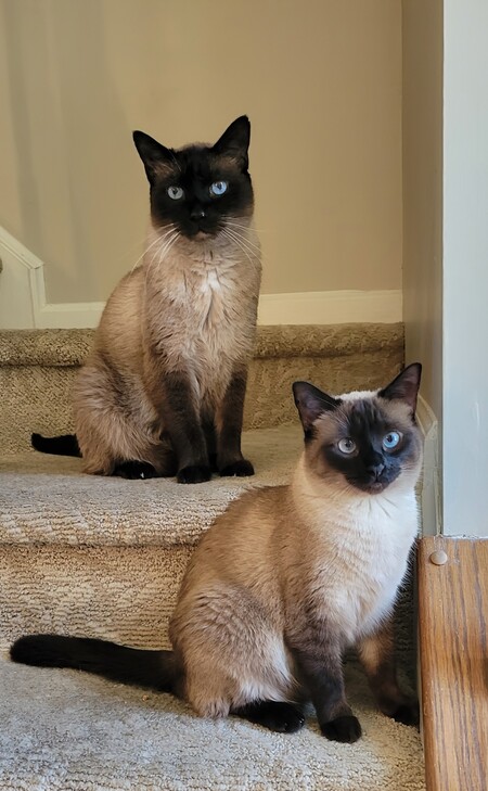Barnabas & Grace