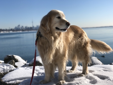 Heidi