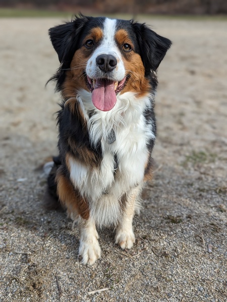 Jango