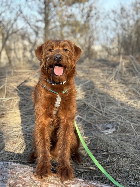 Cooper