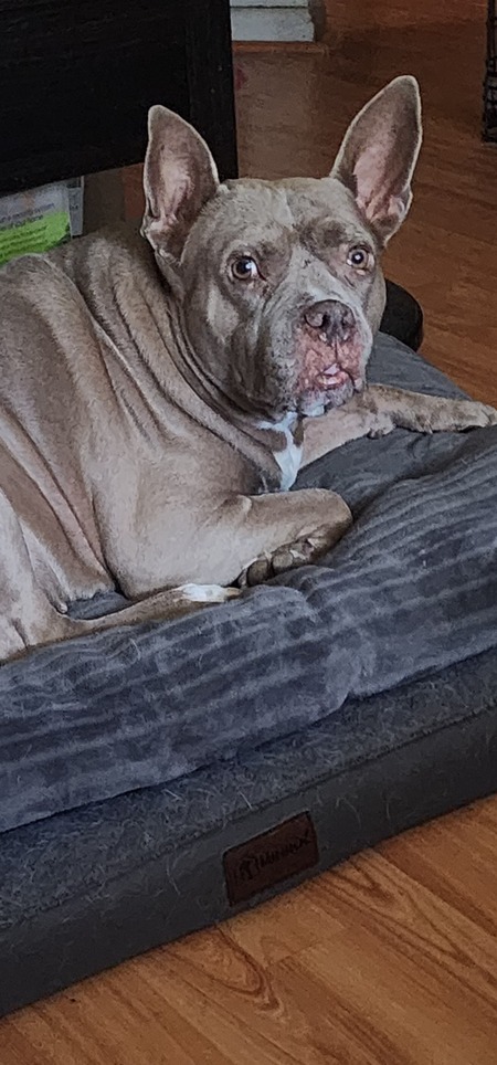 Queenie