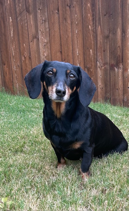 Gracie Lou