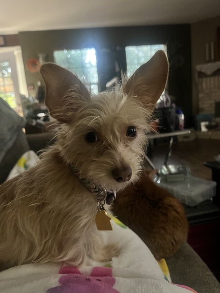 Molly