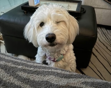 Chloe