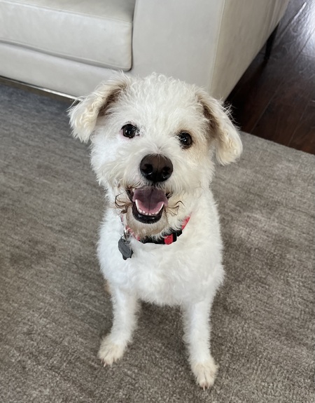 Coco