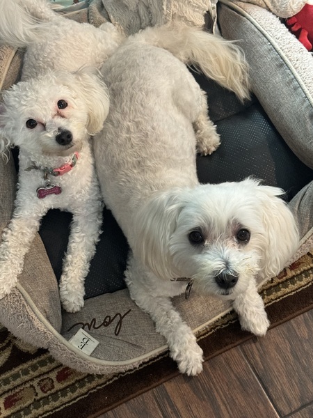 Claire and Buddy