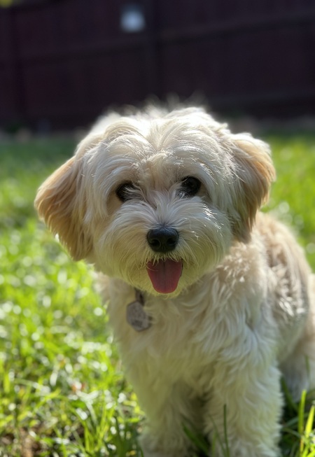 Winnie