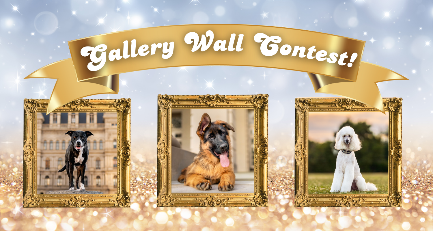Banner for Amy Z Photography Gallery Wall Contest