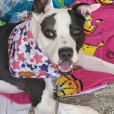 Entry image for Molly