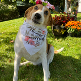 Entry image for Rosie