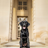 Entry image for Cian 