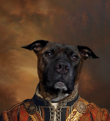 Entry image for Porkchop. Clicking this image will show a larger photo