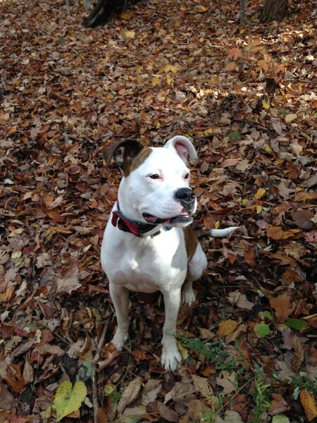 Entry image for Lexi. Clicking this image will show a larger photo