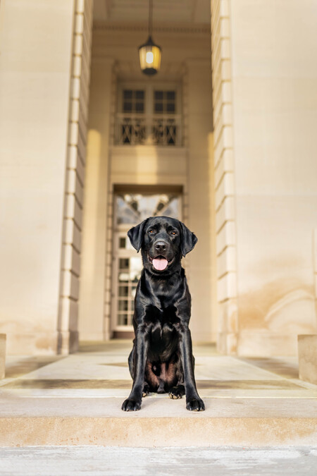 Entry image for Cian . Clicking this image will show a larger photo