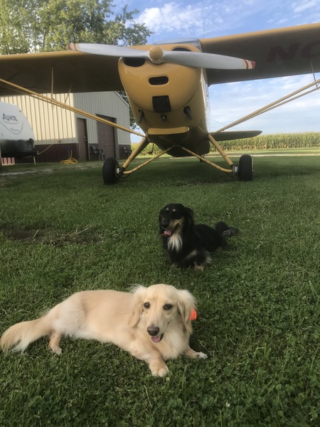Buddy and Willie B