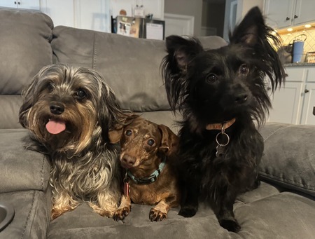 Bonnie, Max, and Bert