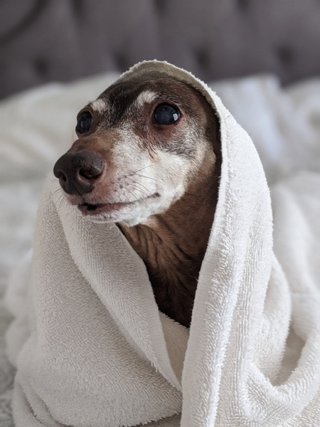 Ari aka Weenie 