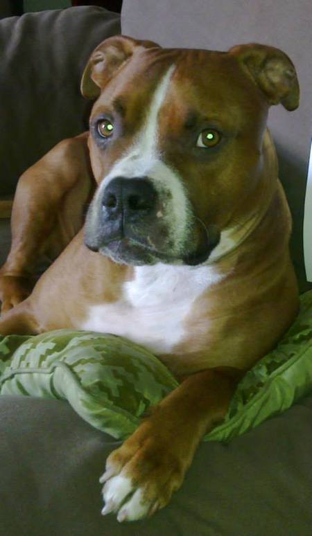 Bailey