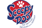 Scoopy Do