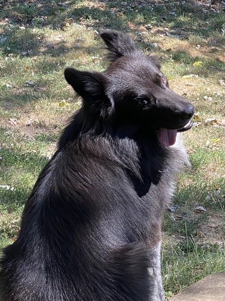 Milo
