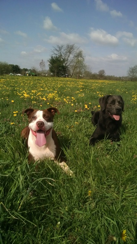 Carlos and Zeke