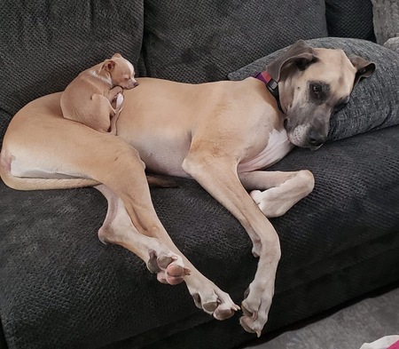 Molly & Finn