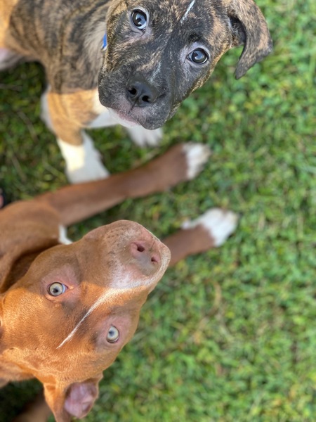 Novalee and Ash