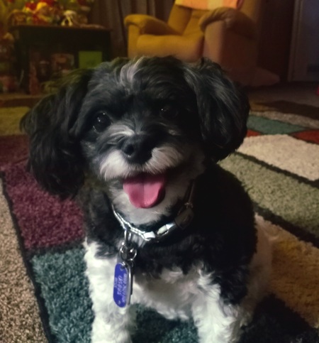 MILLIE