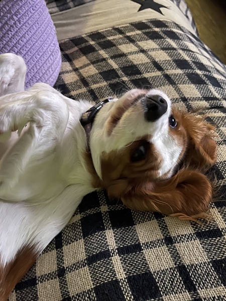 Zoey