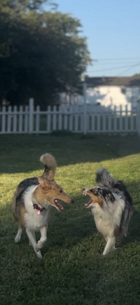 Sadie and Oscar